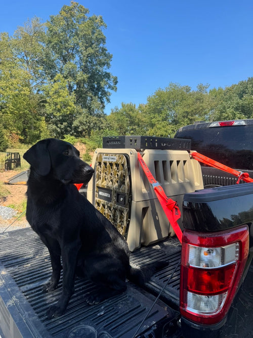 Kennel Storage Racks